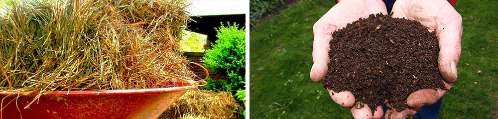 mulch materials compost pine straw