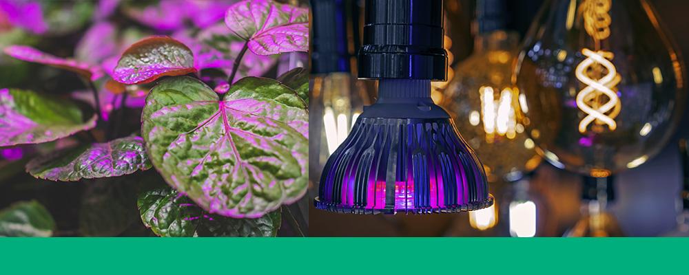 grow lights bulbs indoors header