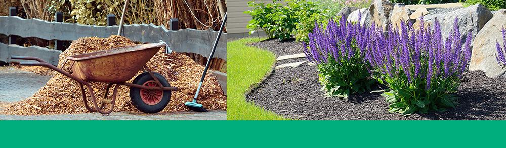 importance of mulching