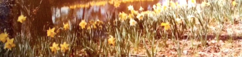 celebrating 40 years brent & becky