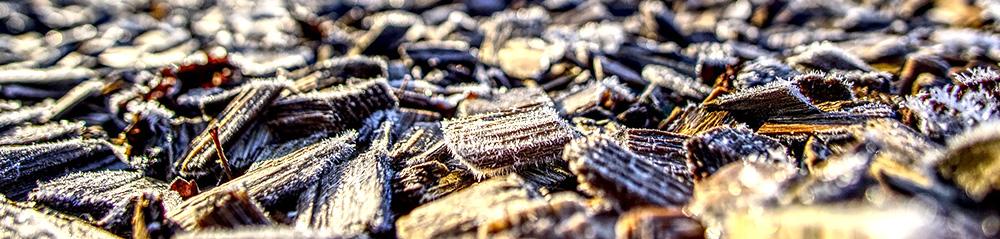 wood chip mulch winter protection