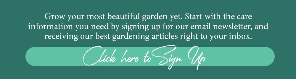 Brent and Becky's Email Newsletter