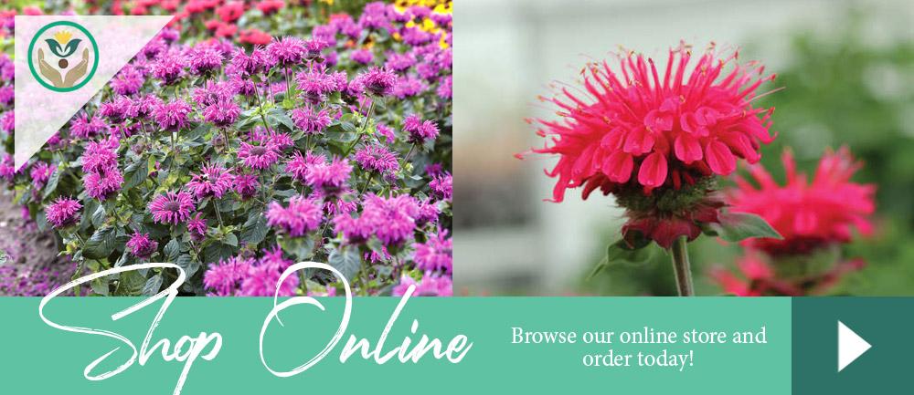 Brent & Becky's Online Garden Store - Viriginia