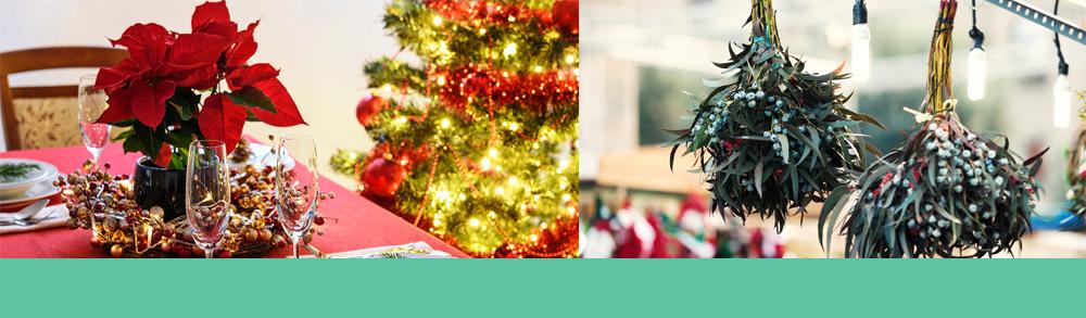 Poisonous Christmas plants