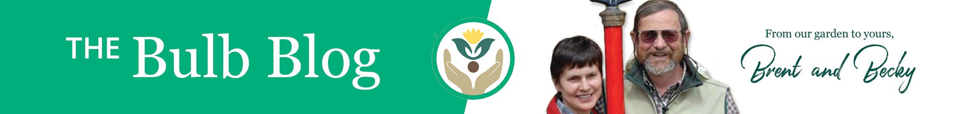 the bulb blog brent & becky's