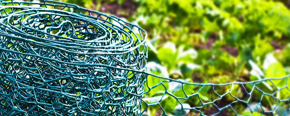brent-and-becky-bulbs-planning-fall-plantings-pest-wire
