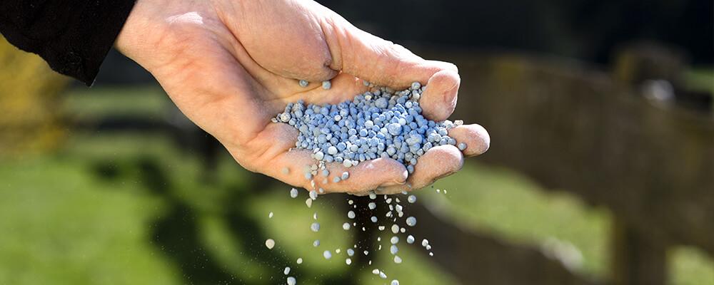 brent-and-beckys-bulb-food-fertilizer-hand-granular