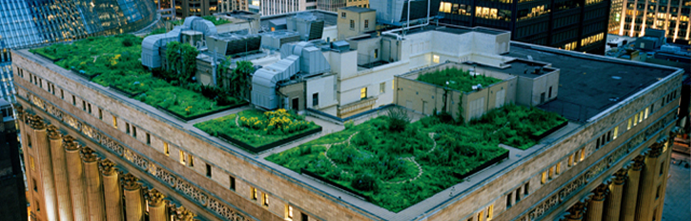 chicago-rooftop-garden-trekking-brent