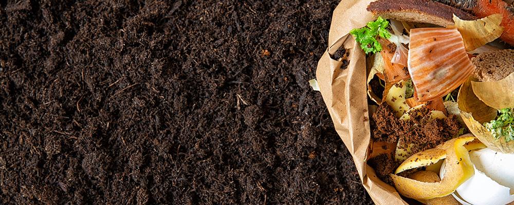 fall garden care guide compost rich soil