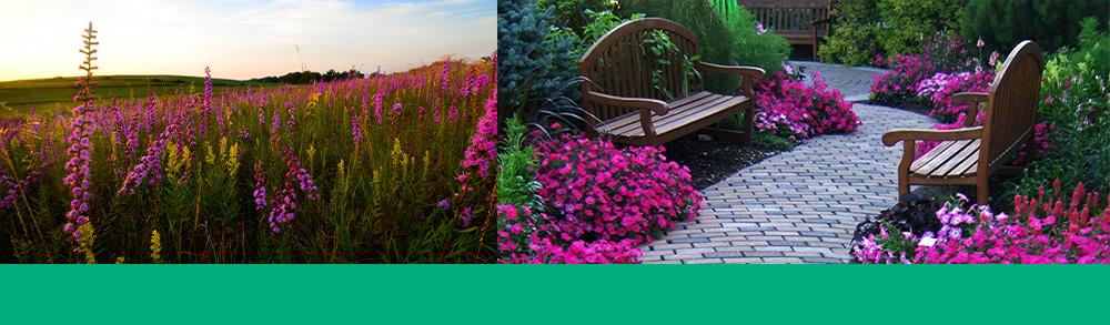 header-garden-trekking-brent