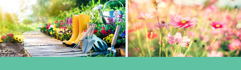 Get Your Garden Ready for Spring