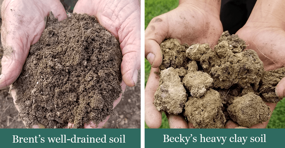 Brent and beckys bulbs - soil compositions for growing gardens_