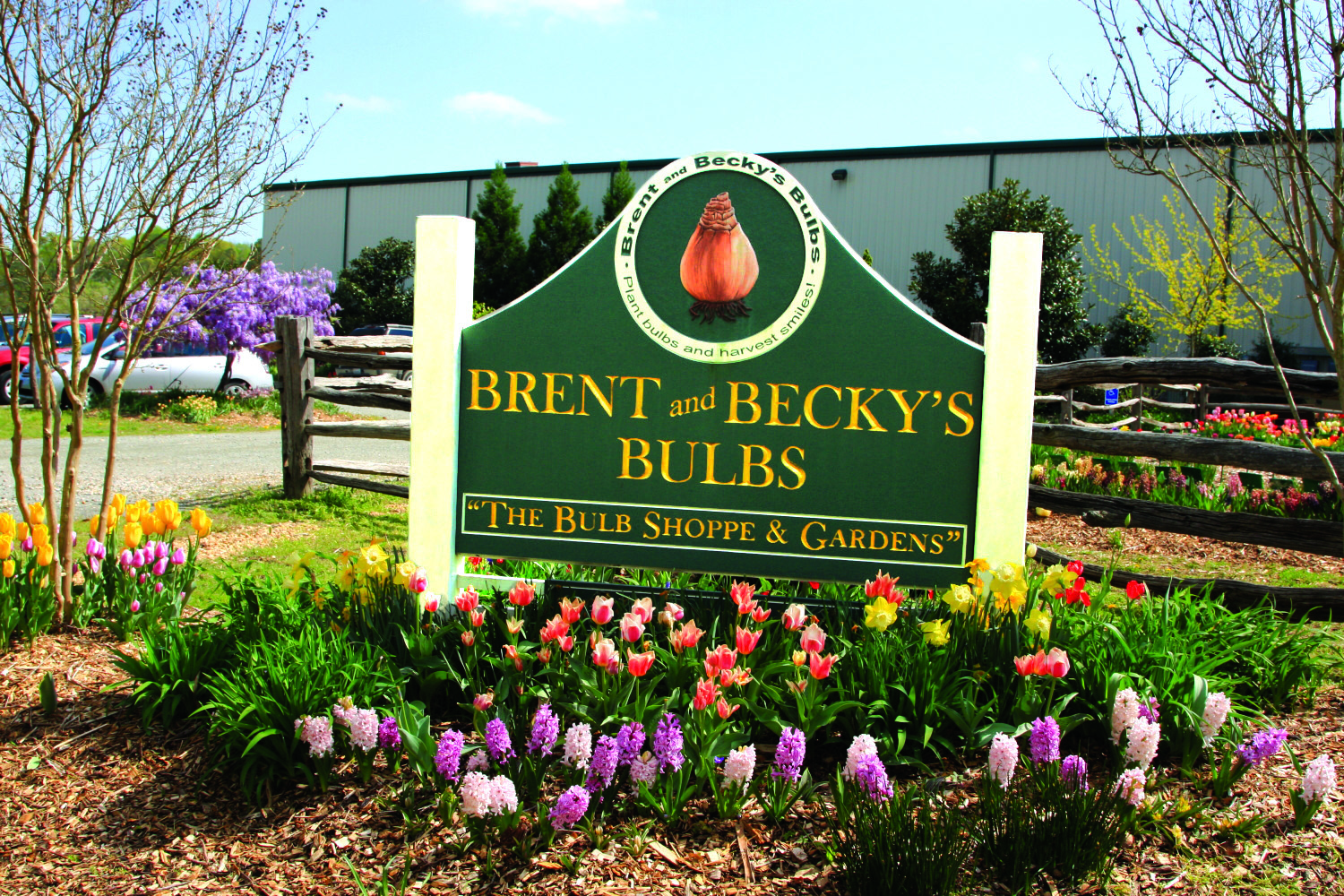 Bulb Shoppe & Gardens Brent & Becky's Bulbs