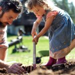 Building an Eco Garden with Less Lawn