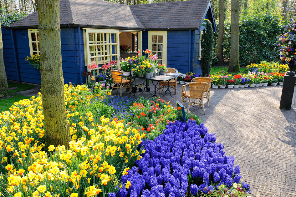 brent and beckys bulbs color echo bulb garden