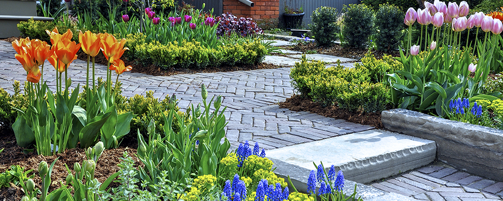 brent-becky-garden-design-tulips-beds-paths